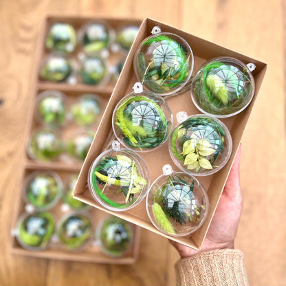 Clear spherical ornaments with greenery inside, displayed in a cardboard box on a wooden surface.
