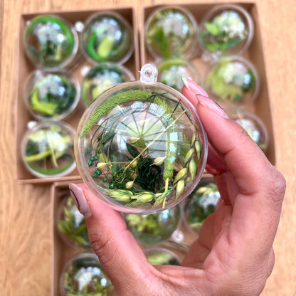Hand holding a clear sphere with greenery, set against a wooden box with similar spheres.